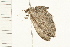  ( - 08BBLEP-03856)  @12 [ ] CreativeCommons - Attribution (2008) Unspecified Centre for Biodiversity Genomics
