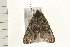  ( - 08BBLEP-03892)  @13 [ ] CreativeCommons - Attribution (2008) Unspecified Centre for Biodiversity Genomics