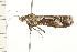  ( - 08BBLEP-03374)  @12 [ ] CreativeCommons - Attribution (2008) Unspecified Centre for Biodiversity Genomics