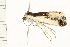  ( - 08BBLEP-03694)  @13 [ ] CreativeCommons - Attribution (2008) Unspecified Centre for Biodiversity Genomics