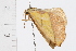  ( - 08BBLEP-05263)  @12 [ ] CreativeCommons - Attribution (2009) Unspecified Centre for Biodiversity Genomics