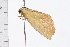  ( - 08BBLEP-05278)  @12 [ ] CreativeCommons - Attribution (2009) Unspecified Centre for Biodiversity Genomics