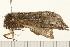  ( - 08BBLEP-04542)  @12 [ ] CreativeCommons - Attribution (2009) Unspecified Centre for Biodiversity Genomics