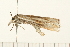  ( - 08BBLEP-04584)  @12 [ ] CreativeCommons - Attribution (2009) Unspecified Centre for Biodiversity Genomics
