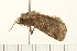  ( - 08BBLEP-04661)  @13 [ ] CreativeCommons - Attribution (2009) Unspecified Centre for Biodiversity Genomics