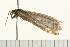  ( - 08BBLEP-04662)  @12 [ ] CreativeCommons - Attribution (2009) Unspecified Centre for Biodiversity Genomics