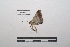  ( - LEPANT20-013)  @11 [ ] Copyright (2020) Nicolas Moulin Research Collection of Nicolas Moulin