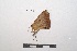  ( - LEPANT20-020)  @11 [ ] Copyright (2020) Nicolas Moulin Research Collection of Nicolas Moulin