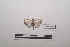  ( - LEPANT20-202)  @11 [ ] Copyright (2021) Nicolas Moulin Research Collection of Nicolas Moulin