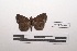  ( - LEPANT20-226)  @11 [ ] Copyright (2021) Nicolas Moulin Research Collection of Nicolas Moulin