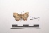  ( - LEPANT20-241)  @11 [ ] Copyright (2021) Nicolas Moulin Research Collection of Nicolas Moulin