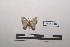  ( - LEPANT20-249)  @11 [ ] Copyright (2021) Nicolas Moulin Research Collection of Nicolas Moulin