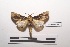  ( - LEPANT20-288)  @11 [ ] Copyright (2021) Nicolas Moulin Research Collection of Nicolas Moulin