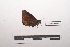  ( - LEPANT20-315)  @11 [ ] Copyright (2021) Nicolas Moulin Research Collection of Nicolas Moulin