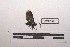  ( - LEPANT20-319)  @11 [ ] Copyright (2021) Nicolas Moulin Research Collection of Nicolas Moulin