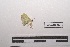  ( - LEPANT20-324)  @11 [ ] Copyright (2021) Nicolas Moulin Research Collection of Nicolas Moulin