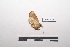  ( - LEPANT20-325)  @11 [ ] Copyright (2021) Nicolas Moulin Research Collection of Nicolas Moulin