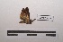  ( - LEPANT20-336)  @11 [ ] Copyright (2021) Nicolas Moulin Research Collection of Nicolas Moulin