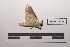  ( - LEPANT20-349)  @11 [ ] Copyright (2021) Nicolas Moulin Research Collection of Nicolas Moulin