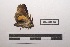  ( - LEPANT20-392)  @11 [ ] Copyright (2021) Nicolas Moulin Research Collection of Nicolas Moulin