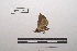  ( - LEPANT20-040)  @11 [ ] Copyright (2020) Nicolas Moulin Research Collection of Nicolas Moulin
