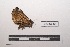  ( - LEPANT20-407)  @11 [ ] Copyright (2021) Nicolas Moulin Research Collection of Nicolas Moulin