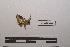  ( - LEPANT20-413)  @11 [ ] Copyright (2021) Nicolas Moulin Research Collection of Nicolas Moulin