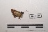  ( - LEPANT20-414)  @11 [ ] Copyright (2021) Nicolas Moulin Research Collection of Nicolas Moulin