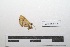  ( - LEPANT20-415)  @11 [ ] Copyright (2021) Nicolas Moulin Research Collection of Nicolas Moulin