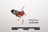  ( - LEPANT20-428)  @11 [ ] Copyright (2021) Nicolas Moulin Research Collection of Nicolas Moulin