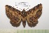  ( - LEPANT20-527)  @11 [ ] Copyright (2023) Nicolas Moulin Research Collection of Nicolas Moulin