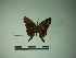  ( - LEPANT20-613)  @11 [ ] Copyright (2023) Nicolas Moulin Research Collection of Nicolas Moulin