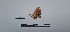  ( - LEPANT20-672)  @11 [ ] Copyright (2024) Nicolas Moulin Research Collection of Nicolas Moulin