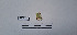  ( - LEPANT20-688)  @11 [ ] Copyright (2024) Nicolas Moulin Research Collection of Nicolas Moulin