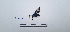  ( - LEPANT20-690)  @11 [ ] Copyright (2024) Nicolas Moulin Research Collection of Nicolas Moulin