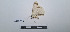  ( - LEPANT20-691)  @11 [ ] Copyright (2024) Nicolas Moulin Research Collection of Nicolas Moulin