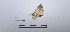  ( - LEPANT20-697)  @11 [ ] Copyright (2024) Nicolas Moulin Research Collection of Nicolas Moulin