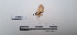  ( - LEPANT20-706)  @11 [ ] Copyright (2024) Nicolas Moulin Research Collection of Nicolas Moulin