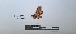  ( - LEPANT20-716)  @11 [ ] Copyright (2024) Nicolas Moulin Research Collection of Nicolas Moulin