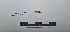  ( - LEPANT20-727)  @11 [ ] Copyright (2024) Nicolas Moulin Research Collection of Nicolas Moulin
