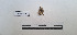  ( - LEPANT20-738)  @11 [ ] Copyright (2024) Nicolas Moulin Research Collection of Nicolas Moulin