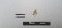  ( - LEPANT20-746)  @11 [ ] Copyright (2024) Nicolas Moulin Research Collection of Nicolas Moulin