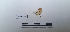  ( - LEPANT20-758)  @11 [ ] Copyright (2024) Nicolas Moulin Research Collection of Nicolas Moulin