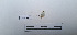  ( - LEPANT20-759)  @11 [ ] Copyright (2024) Nicolas Moulin Research Collection of Nicolas Moulin