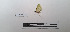 ( - LEPANT20-760)  @11 [ ] Copyright (2024) Nicolas Moulin Research Collection of Nicolas Moulin