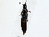  ( - BIOUG79490-E03)  @11 [ ] CreativeCommons - Attribution (2022) CBG Photography Group Centre for Biodiversity Genomics