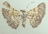  ( - KLM Lep 04190)  @13 [ ] CreativeCommons  Attribution Non-Commercial Share-Alike (2015) Christian Wieser Landesmuseum Kärnten