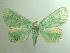  ( - KLM Lep 04417)  @14 [ ] CreativeCommons  Attribution Non-Commercial Share-Alike (2015) Christian Wieser Landesmuseum Kärnten
