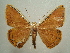  ( - KLM Lep 05611)  @13 [ ] CreativeCommons  Attribution Non-Commercial Share-Alike (2015) Christian Wieser Landesmuseum Kärnten