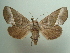  ( - KLM Lep 05775)  @13 [ ] CreativeCommons  Attribution Non-Commercial Share-Alike (2016) Christian Wieser Landesmuseum Kärnten